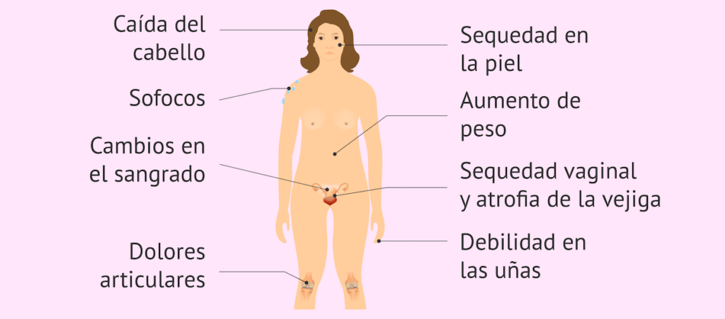 Menopausia y Climaterio médico especialista en santiago