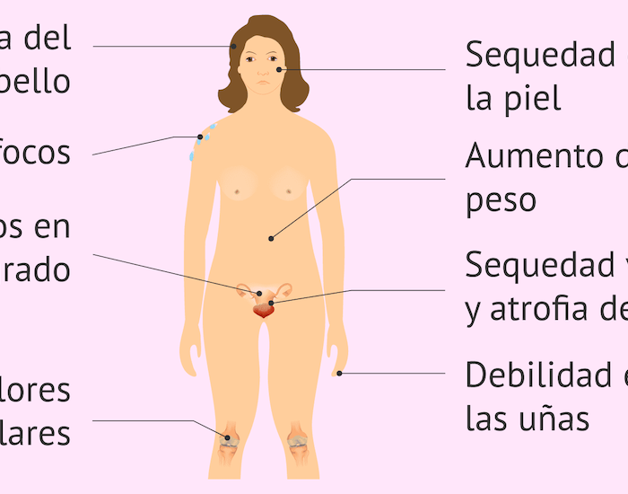 Menopausia y Climaterio médico especialista en santiago