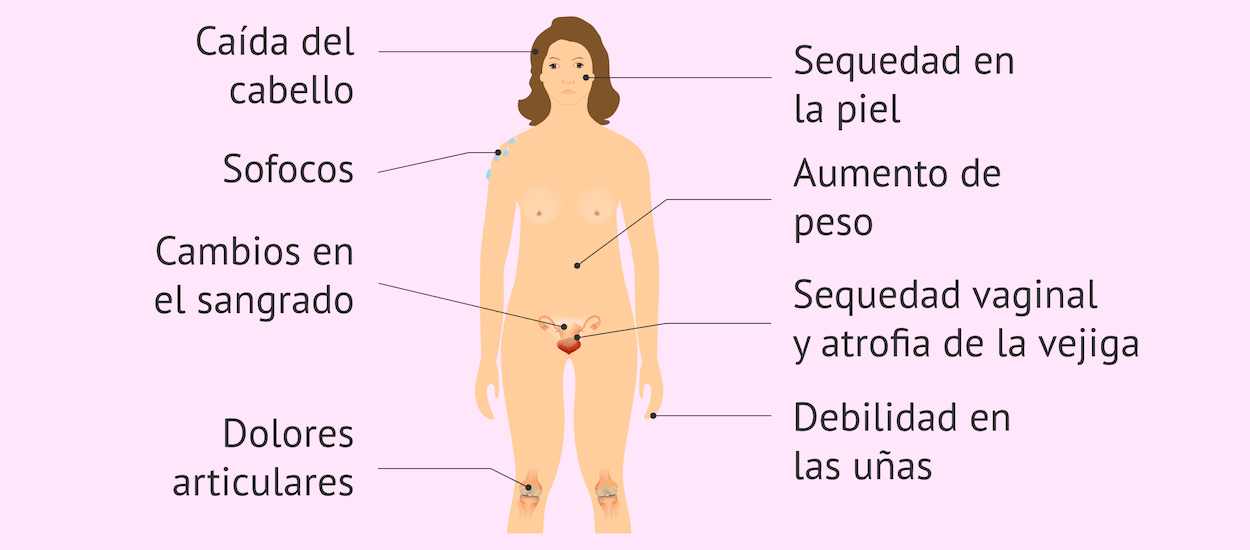 Menopausia y Climaterio médico especialista en santiago