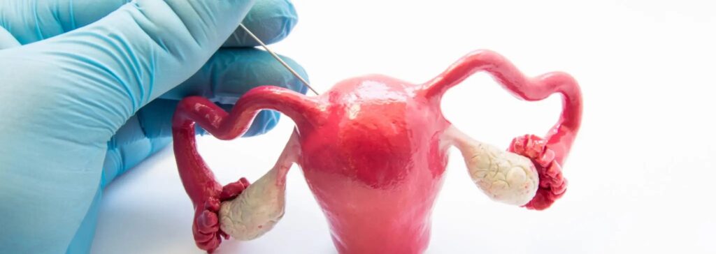 biopsia de endometroio en santiago