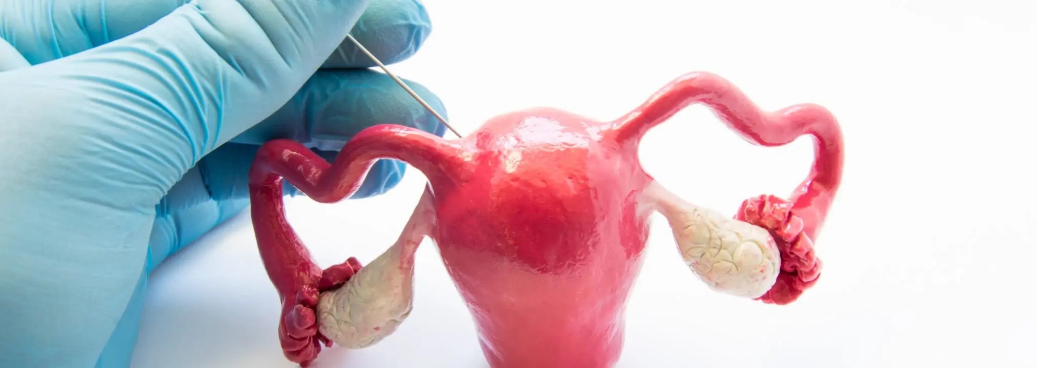 biopsia de endometroio en santiago