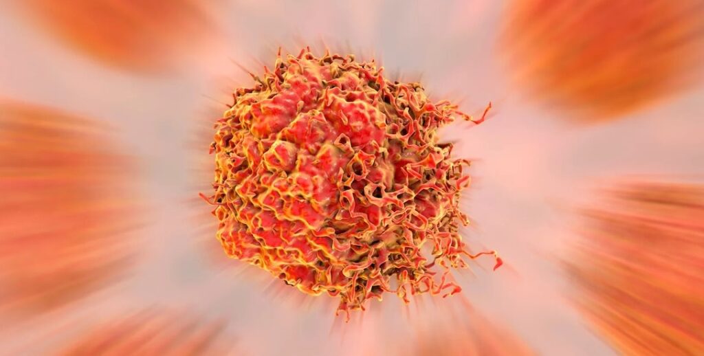 vph atención inmediata