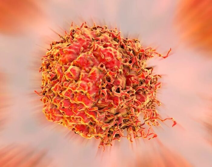 vph atención inmediata