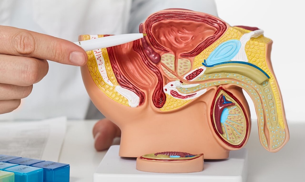 Examen Digital Rectal en santiago