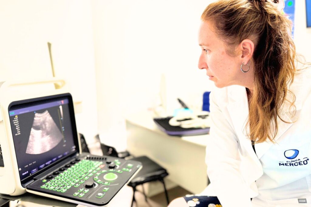 Ecografía Transvaginal