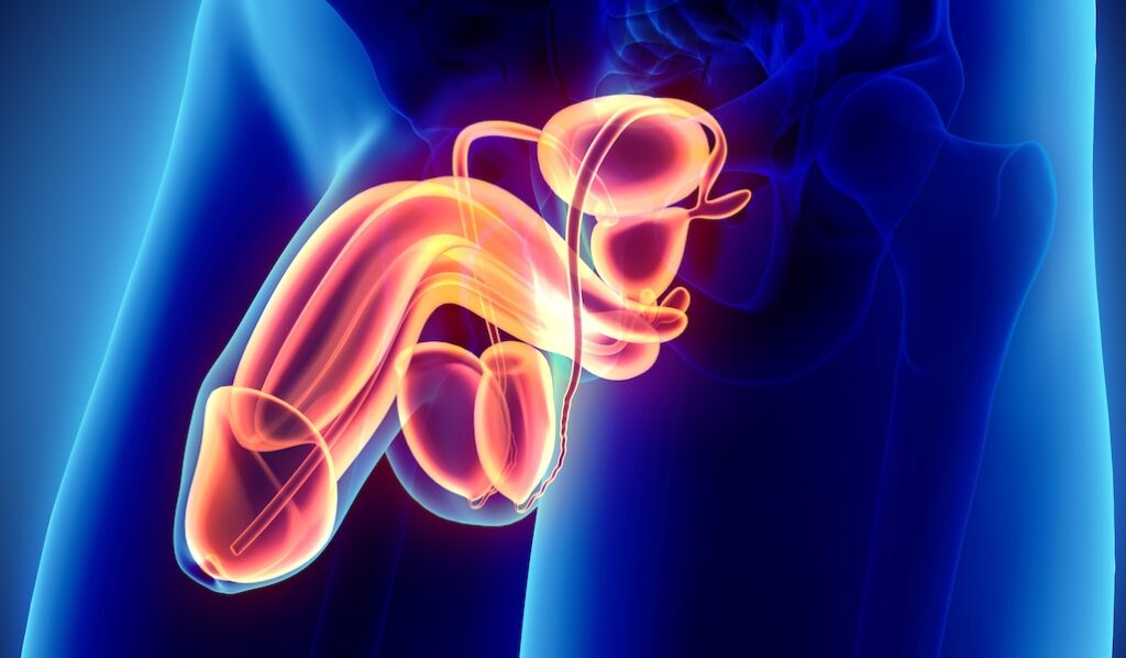Impotencia Sexual médicos especialistas
